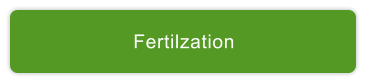 Fertilzation